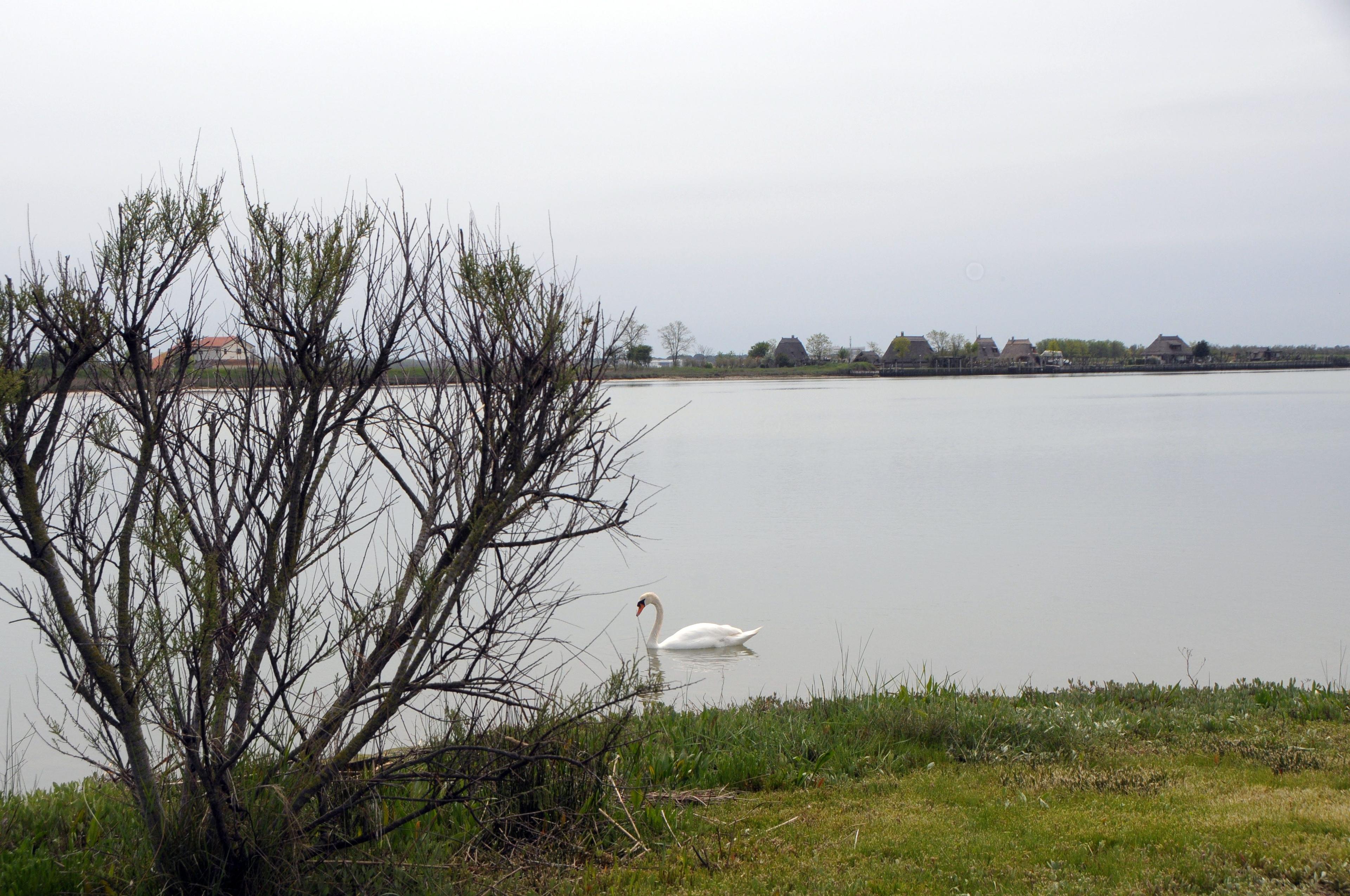 Ittiturismo Gaya e Bragosso a Caorle · foto 24